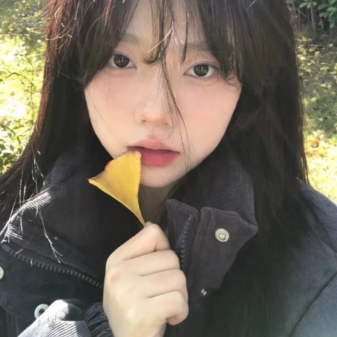 摇曳露营△第三季